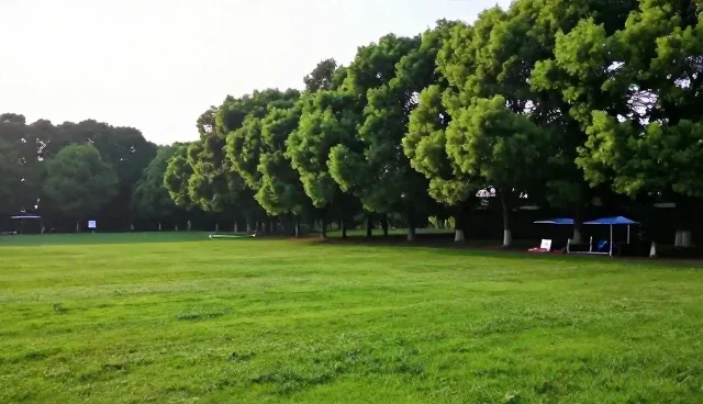 移动应用性能优化中的技术挑战与适用条件